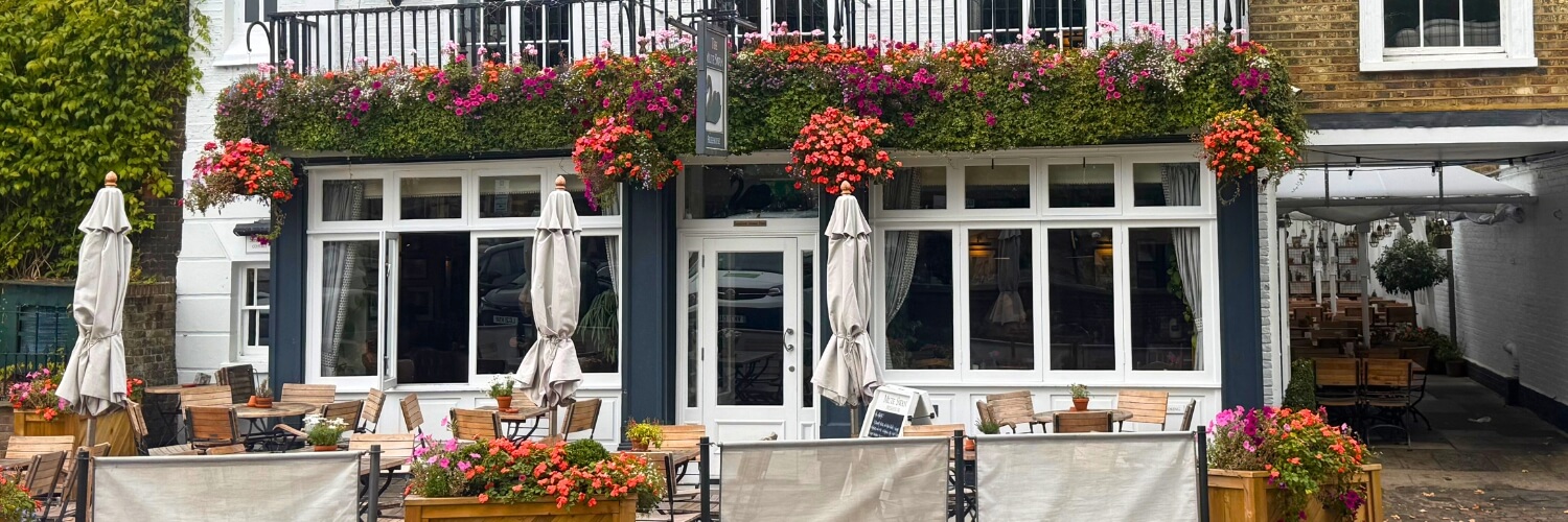 The Mute Swan Pub - Hampton Court, East Molesey
