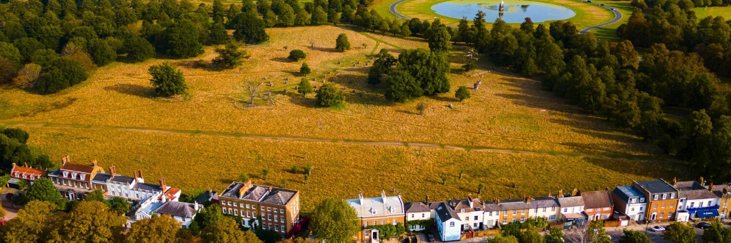 Dog Friendly Apartments Near Hampton Court Palace
