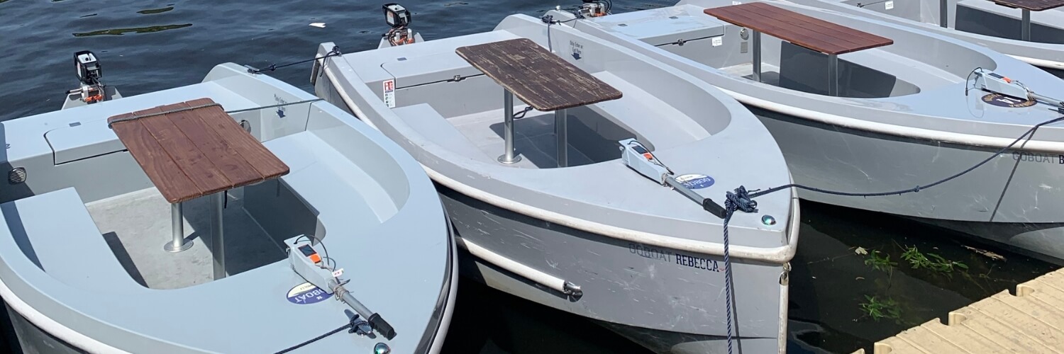 Kingston Dog Friendly Boat Trips
