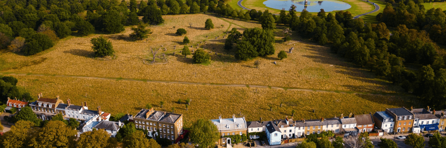 Short Stay apartments in Hampton Court overlooking Bushy Park and Hampton Court Palace